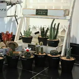 想要慵懒高级的ins风,这8家店就够了