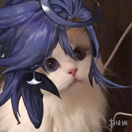 阴阳师猫咪接头头像大全