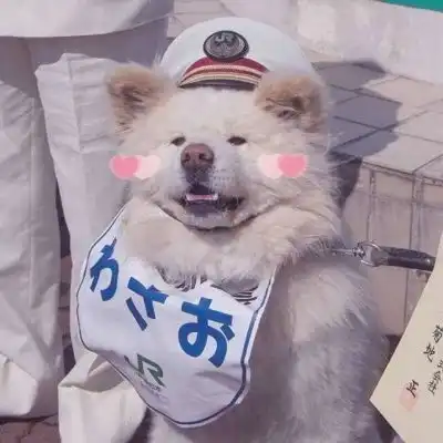 搞笑卡通动漫头像qq头像我要个性网