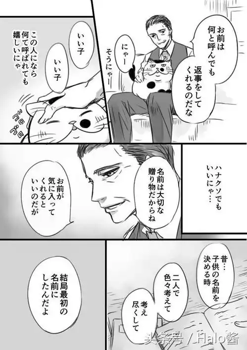 日本网络爆红的漫画大叔与猫超温馨感人