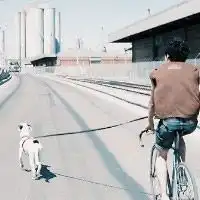 放心牵着他的手,不要再耽误时候