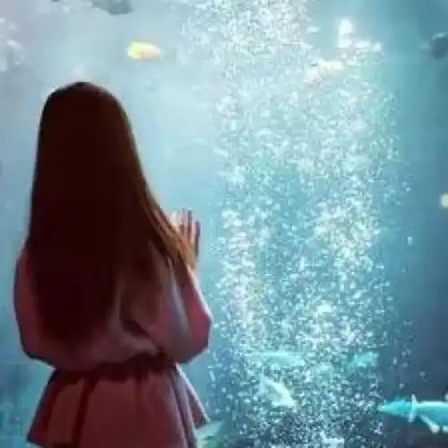 忆红莲