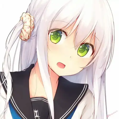 动漫美图白发美少女合辑