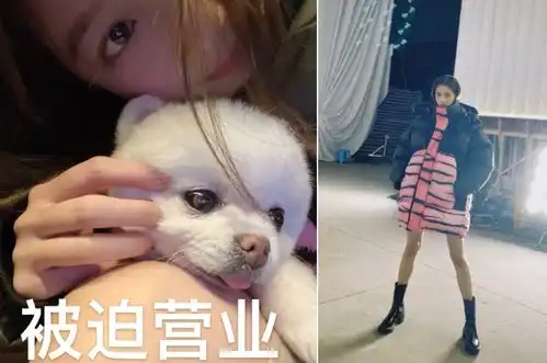 刘涛戴卡通口罩逛花市与男老板讲价害羞捂嘴,被送花瓶赞他有品位