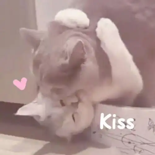 0收藏夹