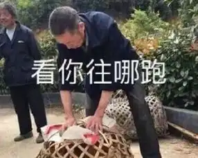 一周烟事女商贩身藏50包烟,民警您膝盖都方了