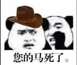 猫狗双全才是猛男游戏里最幸福的事