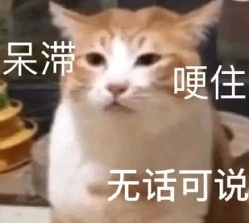 表情表情包猫猫沙雕表情包快资讯表情
