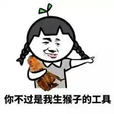 表情包里扎辫子的女孩