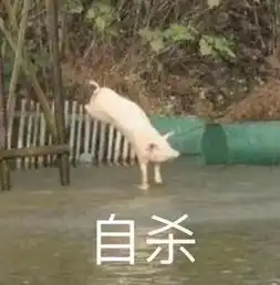 一场自杀式裂变换来20w下载,微视撒的币值不值