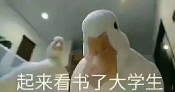 关于看书的表情包合集啊学习,我好快乐