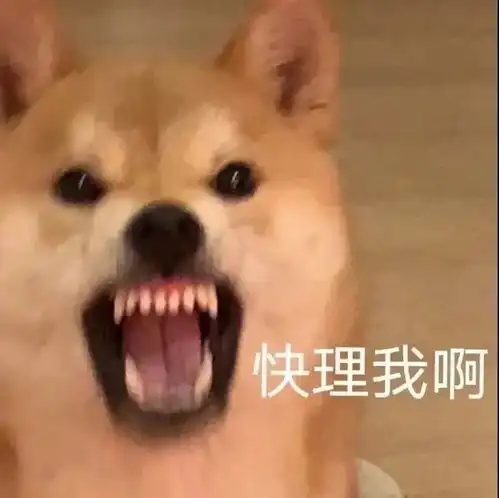 沙雕表情包对金钱的渴望