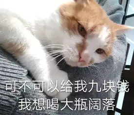 搞笑表情包我觉得我自己就是一个受气包
