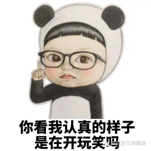 11月27号出发豪华游轮含港口税只要199欧最后特价啦