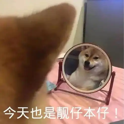 友友们猪肝格是收哪个版本的比较好