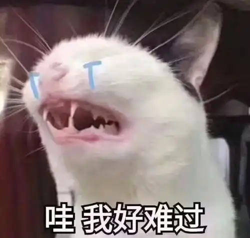 我以为大学里不会......还是我太天真了...