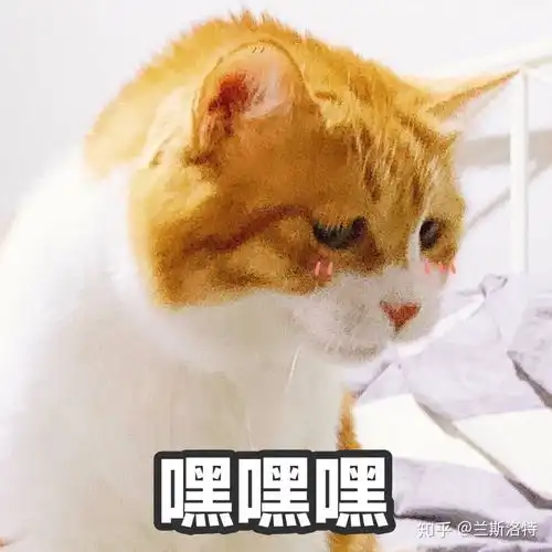 有哪些可爱的猫猫表情包