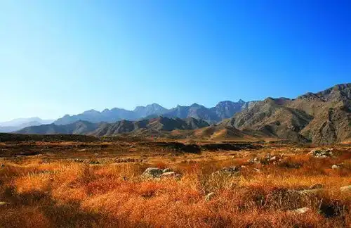 秋季旅游全面启动十大活动带你玩转宁夏