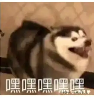 玩春风十里这种约会社区的女生都是哪些人