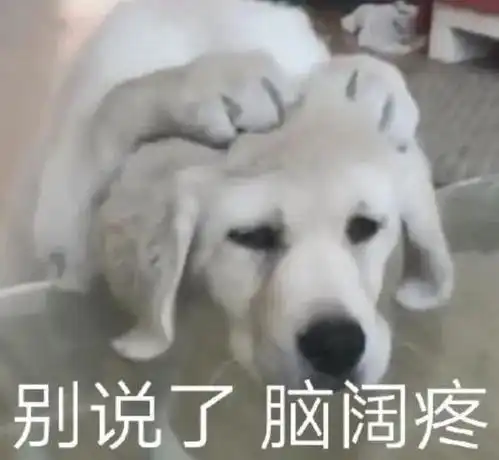 4.999g回归后,华为销量恢复到啥程度了