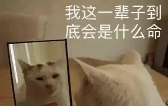 dna动了杨幂许凯的合体生图怪好磕的