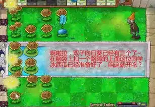 植物大战僵尸新手八炮流详细图文教程