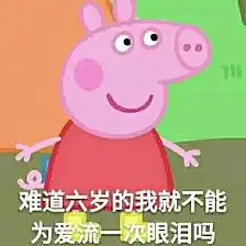 2017年度表情包大赏