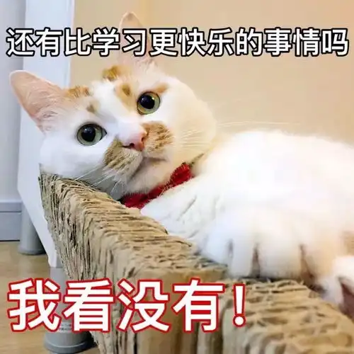 猫咪表情包我等的喵在多远的未来养猫