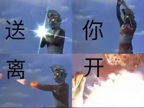 金盈所一辈子的谎言都对健身教练说了,要么瘦要么有钱