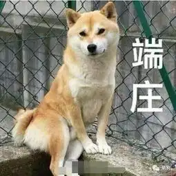 门坏了就坏了吧,但请告诉我是谁下的嘴