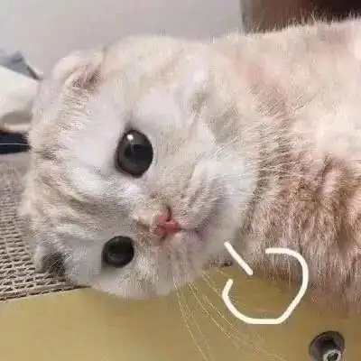 翻白眼666裂开这些微信表情用英语怎么说