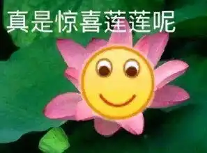 这次没翻车,但也好骚啊哈哈哈哈哈哈哈