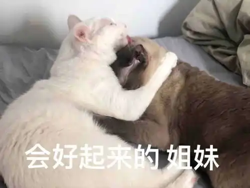 爆笑沙雕可爱文案,这么可爱搞笑的,手机没电也要看系列