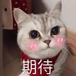 软萌猫咪表情包,聊天撸猫必备