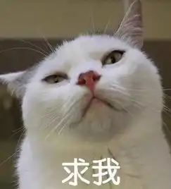 报告老板年终奖只想要这些