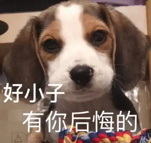 吐槽我的精神病合租舍友