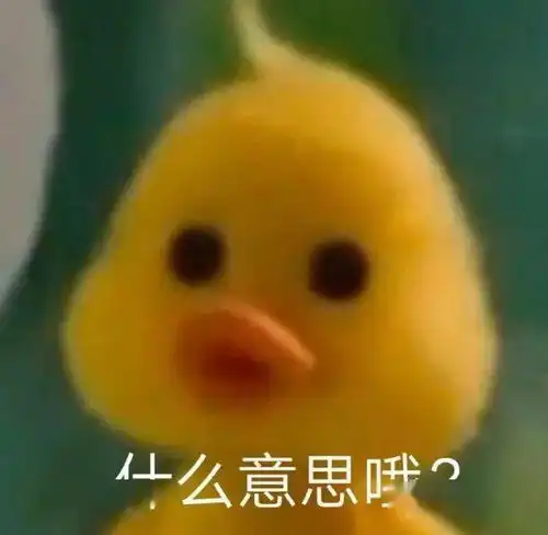 那个很火的小鸭子表情包