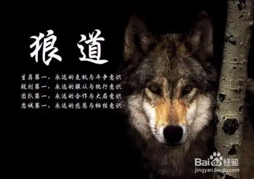 狼性企业文化