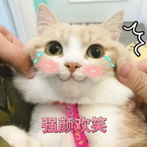 我和直男老公的日常