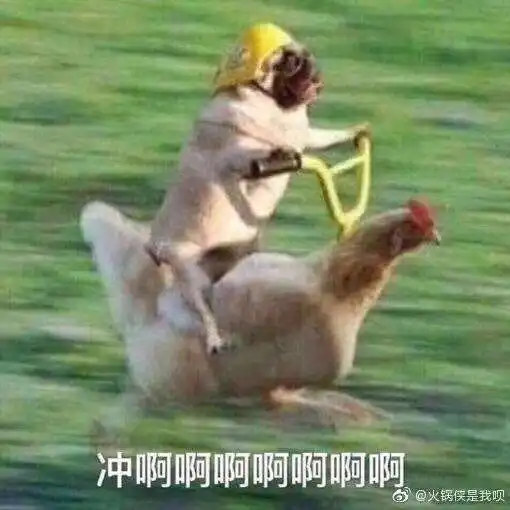 如何告诉一个男孩子你喜欢他你是女孩子