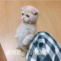 这个是爱你的表现哟