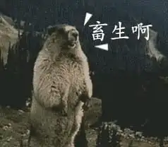 在你能不能p点阳间的东西