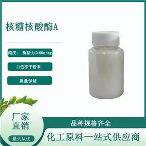 蛋白酶k
