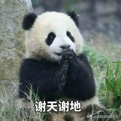 虽然最近热度起来了,但是有些话我还是得说