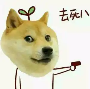 萌炸啦soho珠海第一届柴犬集体庆生party回顾