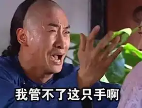 欲望东京剁手也分正不正经