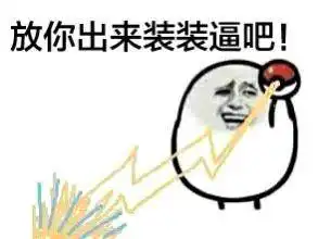 医保的自付段是什么意思