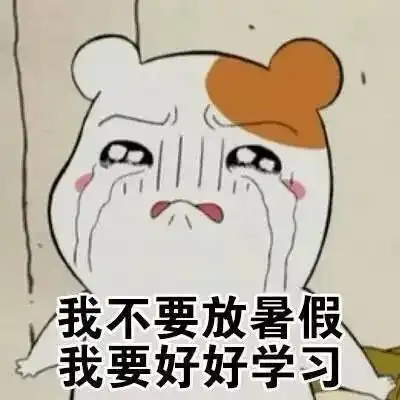 英国网红整容式追星防弹少年团,还自制韩国旗韩国网友气疯了