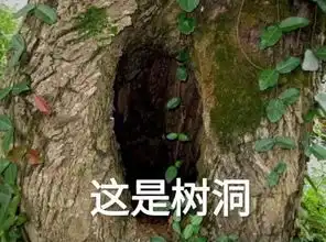 土味情话2.0表情版,祝撩妹一臂之力