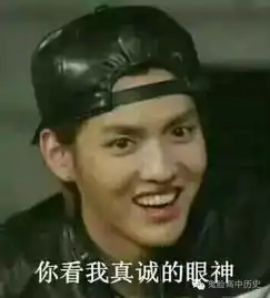 看野史,从不蓝瘦香菇